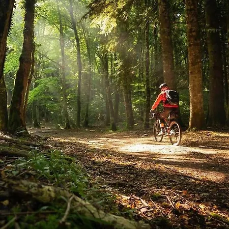 Art House Centro - Gargano Apartment