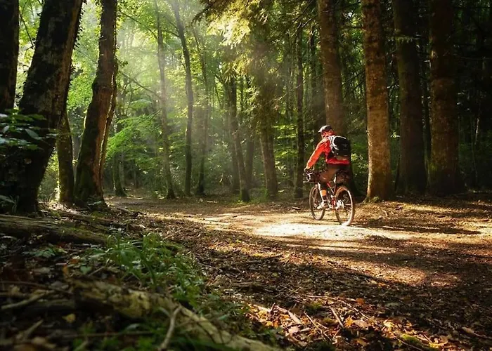 Art House Centro - Gargano アパート